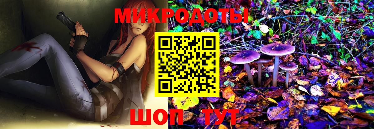 наркота  Вход с VPN  Лобня  Псилоцибиновые грибы Psilocybe 