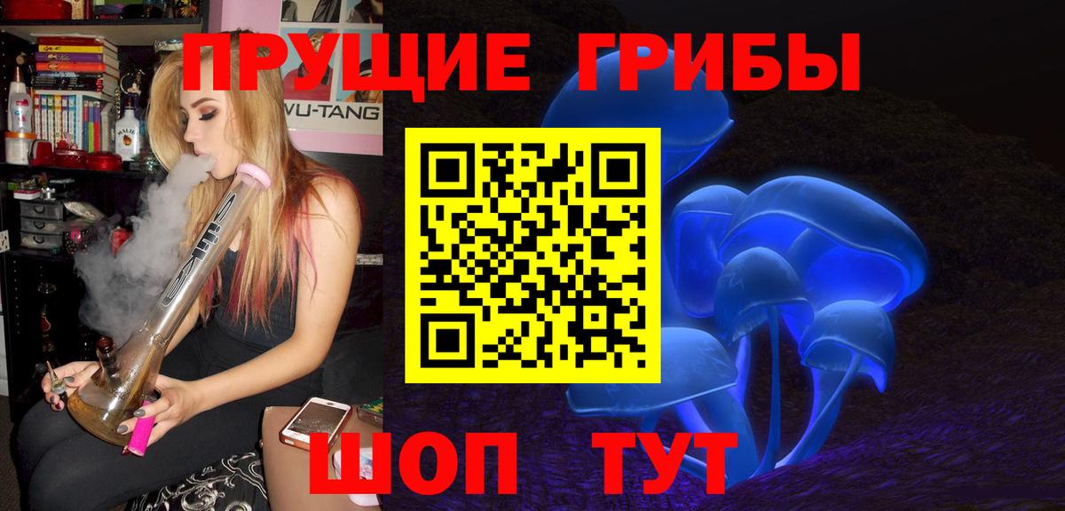 Псилоцибиновые грибы Psilocybe Лобня